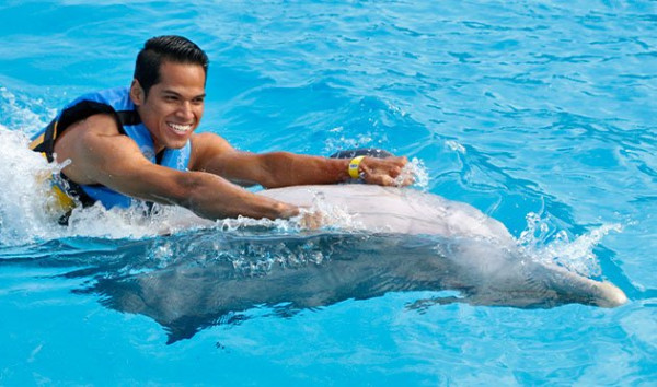 Playa del Carmen: Dolphin Encounter