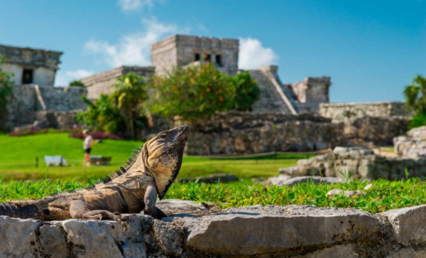 Excursión a las Ruinas de Tulum, Tortugas en Akumal y Cenote